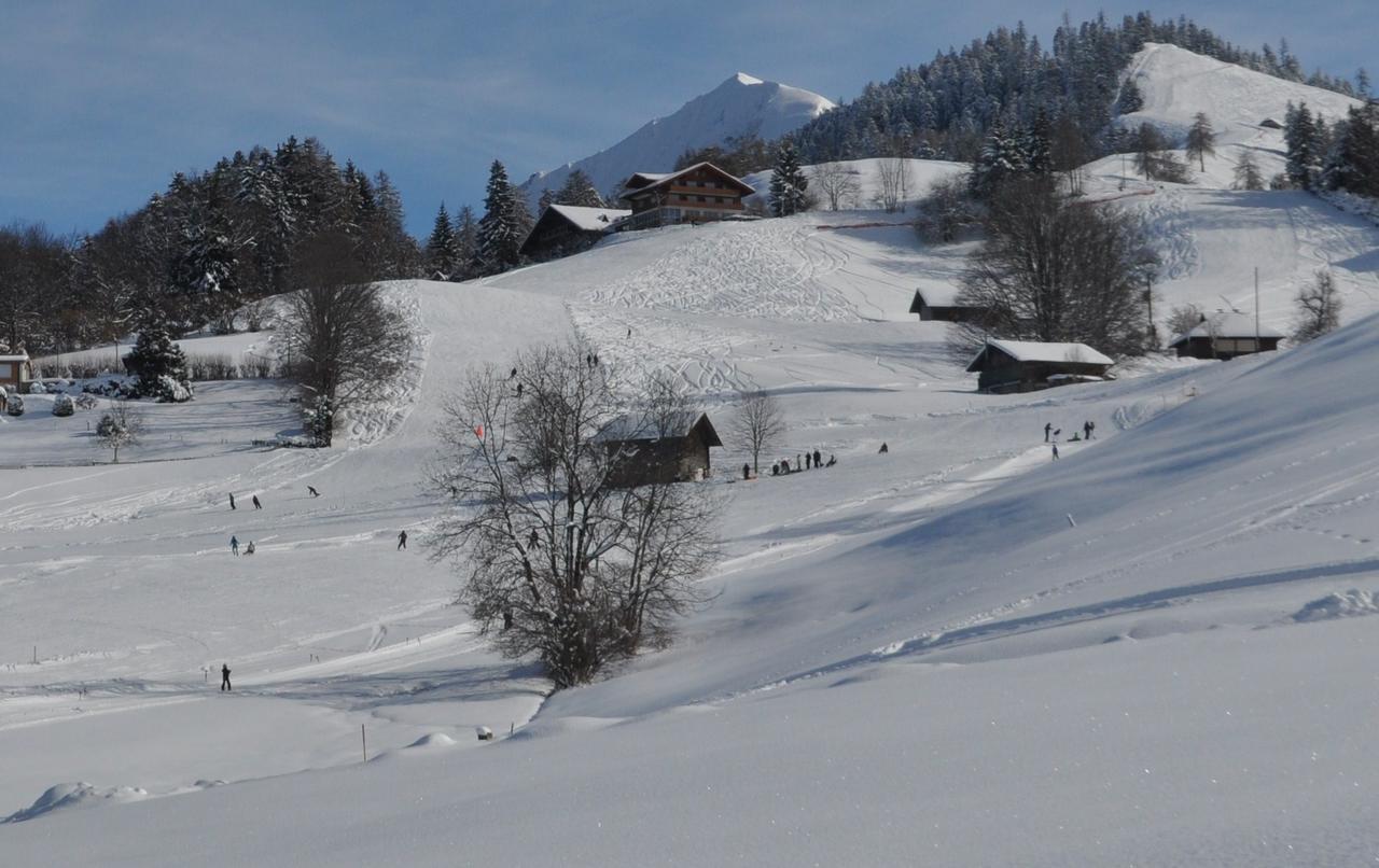 Brunnenmatte 호텔 Aeschi Bei Spiez 외부 사진